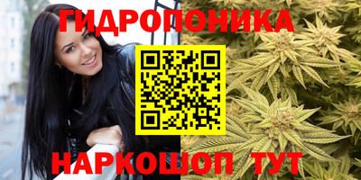 гидра Гусь-Хрустальный