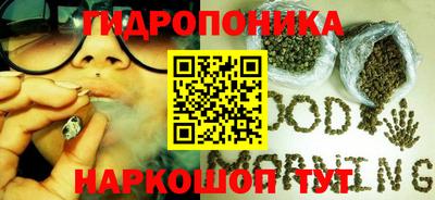 гидра Гусь-Хрустальный