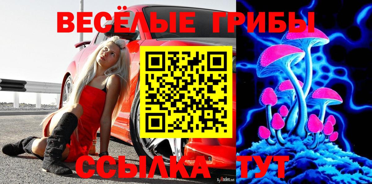 Галлюциногенные грибы MAGIC MUSHROOMS Одинцово